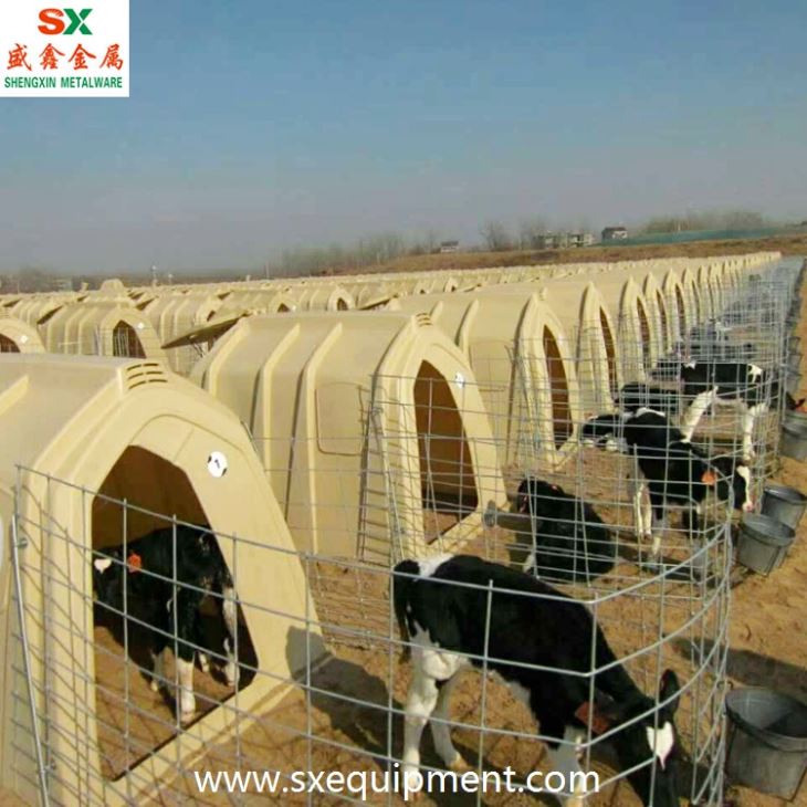 Cattle Farm Calf Hutch