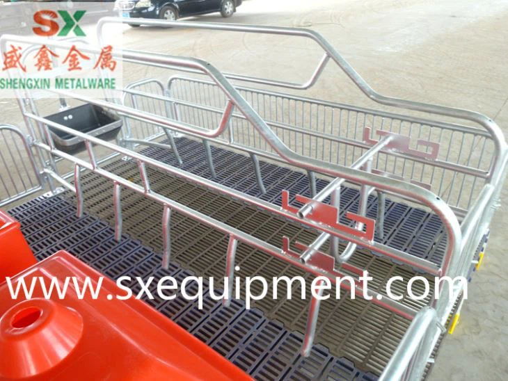 Pig Farrowing Crate